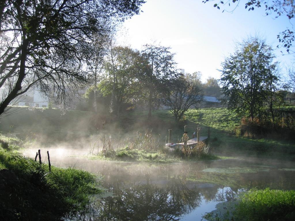 Rumleigh Farm Bere Alston Exteriér fotografie